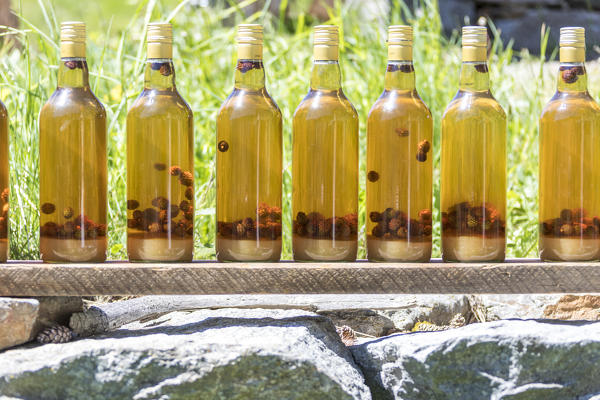 Bottles of typical liquor called grappa, San Romerio Alp, Brusio, Canton of Graubünden, Poschiavo valley, Switzerland