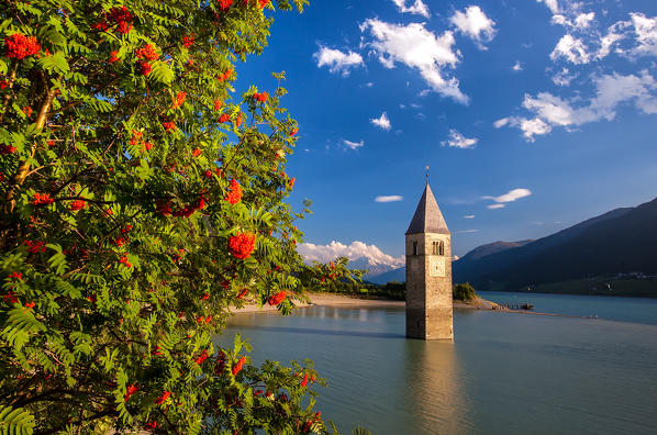 Lake Reschen is an artificial lake in the western portion of South Tyrol, Italy, approximately 2 km (1 mi) south of the Reschen Pass, which forms the border with Austria, and 3 km east of the mountain ridge forming the border with Switzerland. With its capacity of 120 million cubic metres (97,000 ft) it is the largest lake in the province. Its surface area of 6.6 km makes it also the largest lake above 1,000 m in the Alps. It is fed by the Adige, Rojenbach and Karlinbach and drained by the Adige.

Lake Reschen is an artificial lake in the western portion of South Tyrol, Italy, south of the Reschen Pass, which forms the border with Austria, and east of the mountain ridge forming the border with Switzerland. The lake is famous for the steeple of a submerged 14th-century church; when the water freezes, this can be reached on foot. 