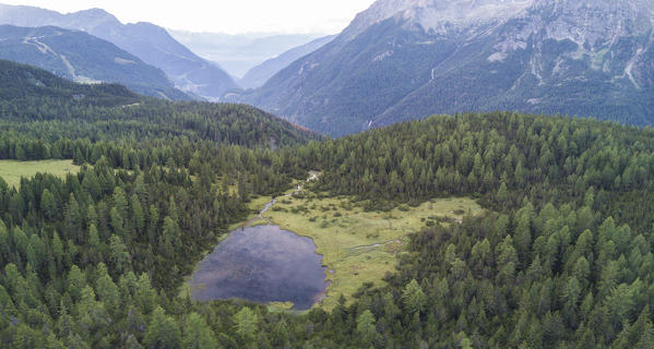 Panoramic of woods and lake, Entova Alp, Malenco Valley, Sondrio province, Valtellina, Lombardy, Italy