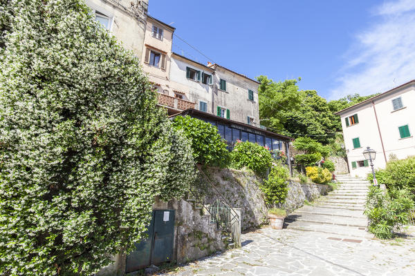 Alley in the old town, Marciana, Elba Island, Livorno Province, Tuscany, Italy