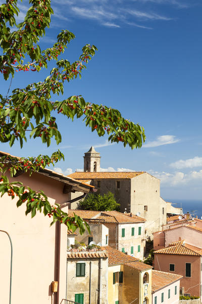 Old town and bell tower, Poggio, Marciana, Elba Island, Livorno Province, Tuscany, Italy