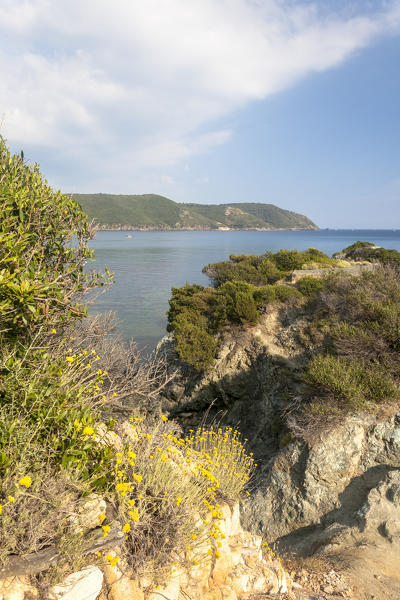 Overview of blue sea from the inland, Lacona, Capoliveri, Elba Island, Livorno Province, Tuscany, Italy