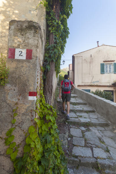 Hiker among old alleys towards Monte Capanne, Elba Island, Livorno Province, Tuscany, Italy