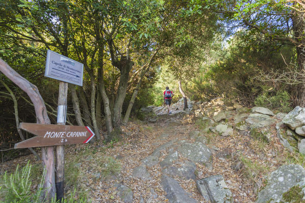 Hiker on path towards Monte Capanne, Elba Island, Livorno Province, Tuscany, Italy