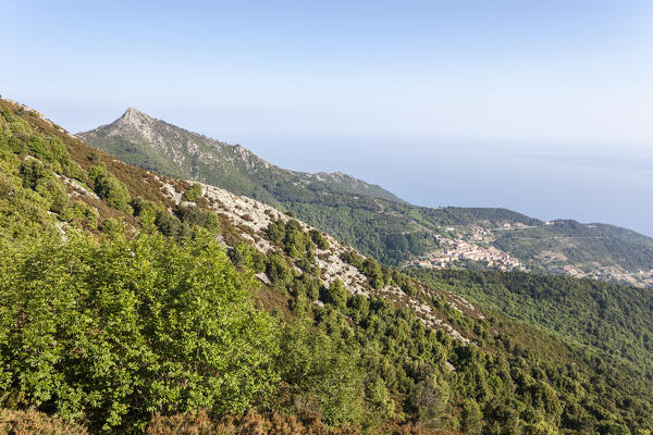 Green woods among rocky peaks, Monte Capanne, Elba Island, Livorno Province, Tuscany, Italy