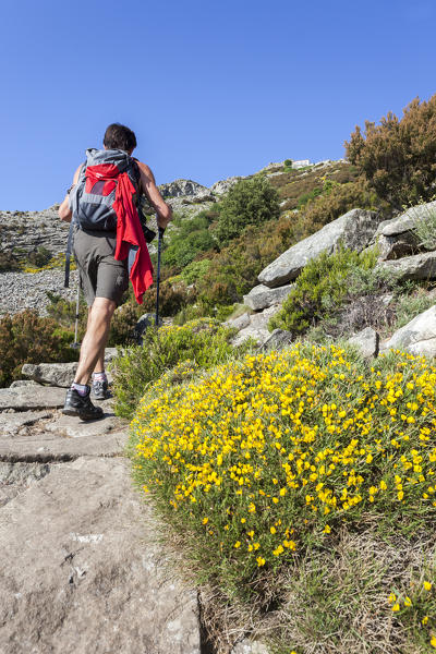 Hiker on path towards Monte Capanne, Elba Island, Livorno Province, Tuscany, Italy