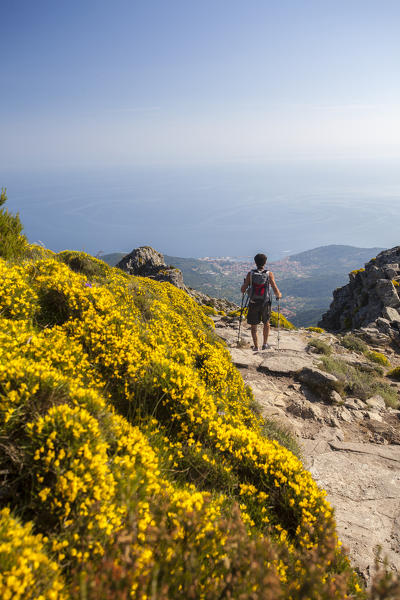 Hiker on path towards Monte Capanne, Elba Island, Livorno Province, Tuscany, Italy