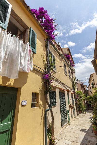 Ancient alley, Sant'Ilario in Campo, Elba Island, Livorno Province, Tuscany, Italy