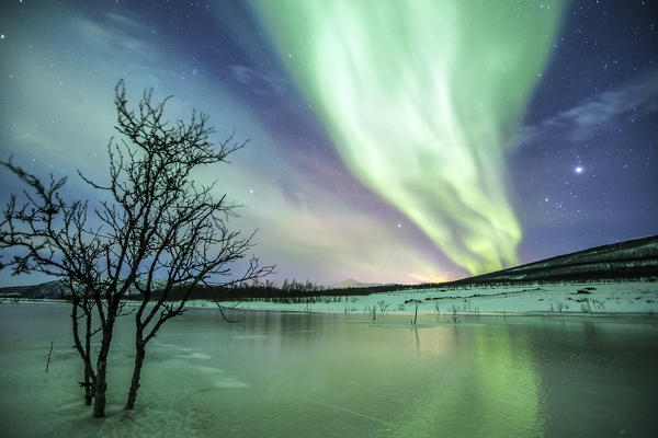 Aurora Borealis on the frozen lagoon of Jaegervatnet Stortind
Lyngen Alps Tromsø Lapland Norway Europe