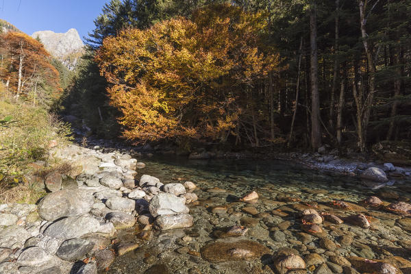 Clear water of alpine creek, Bagni di Masino, Valmasino, Valtellina, Sondrio province, Lombardy, Italy