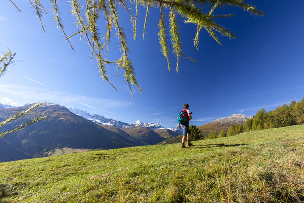 Hiker on green meadows, Val Vezzola, Valdidentro, Valtellina, Sondrio province, Lombardy, Italy