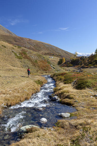 Hiker along the creek, Val Vezzola, Valdidentro, Valtellina, Sondrio province, Lombardy, Italy