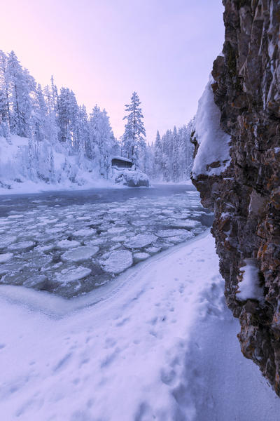 Sunrise on frozen water and forest at Myllykoski, Juuma, Oulanka National Park, Kuusamo, Lapland, Finland