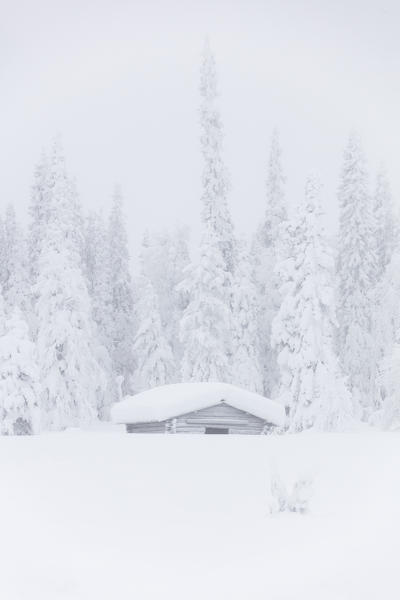 Mist on snow covered hut, Levi, Kittila, Lapland, Finland