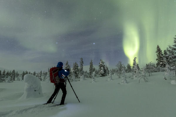 Photographer in the snowy woods during Northern Lights, Pallas-Yllastunturi National Park, Muonio, Lapland, Finland (MR)