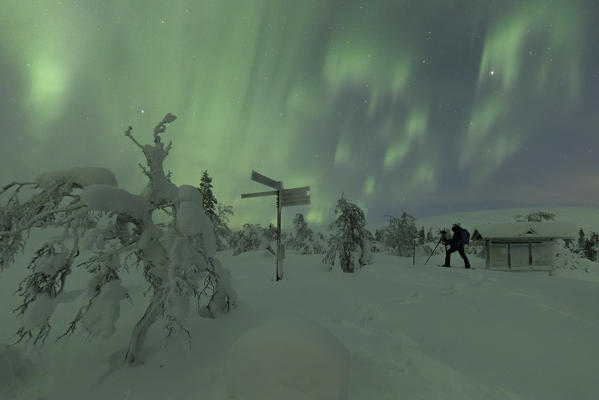 Photographer in the snowy woods during Northern Lights, Pallas-Yllastunturi National Park, Muonio, Lapland, Finland