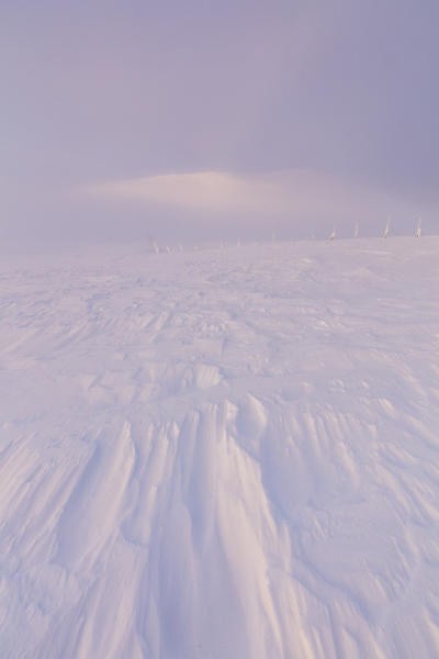 Twilight and mist on the snowy landscape, Pallas-Yllastunturi National Park, Muonio, Lapland, Finland