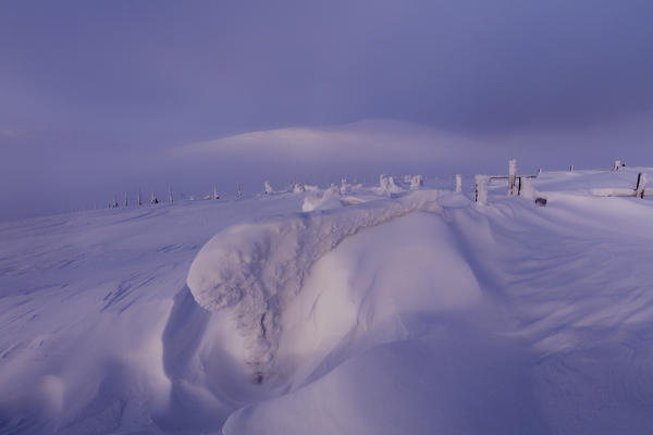 Twilight and mist on the snowy landscape, Pallas-Yllastunturi National Park, Muonio, Lapland, Finland