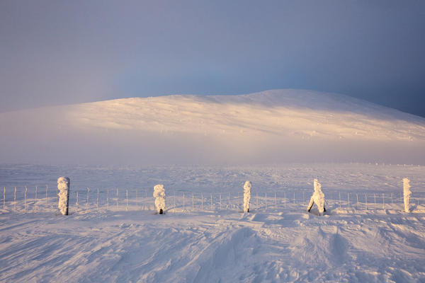 Frozen fence in the snow, Pallas-Yllastunturi National Park, Muonio, Lapland, Finland