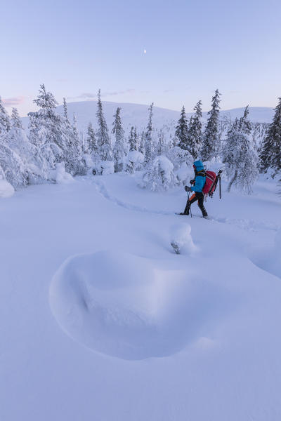 Hiker on snowshoes, Pallas-Yllastunturi National Park, Muonio, Lapland, Finland