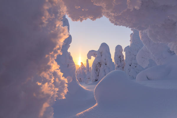 Sunburst on frozen trees at dawn, Riisitunturi National Park, Posio, Lapland, Finland