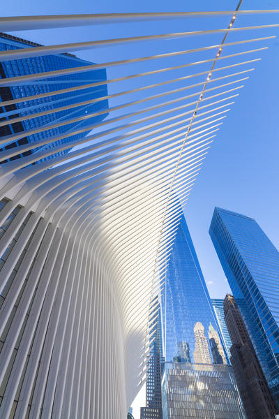 The Oculus building by Santiago Calatrava, One World Trade Center, Lower Manhattan, New York City, USA