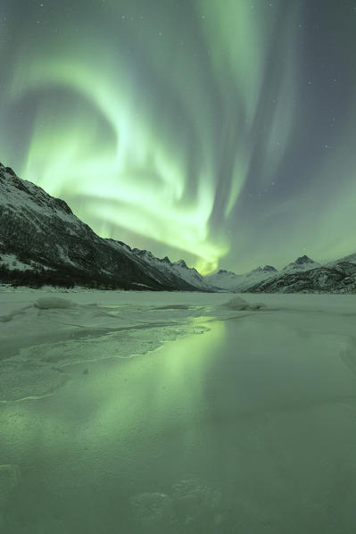 Northern Lights, Olderfjorden, Svolvaer, Lofoten Islands, Norway