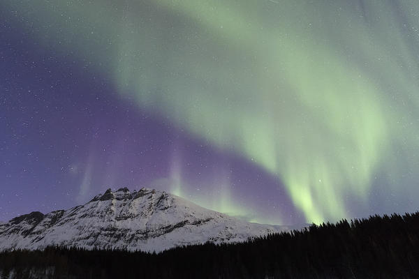 Northern Lights, Skoddebergvatnet, Grovfjord, Troms county, Lofoten Islands, Norway