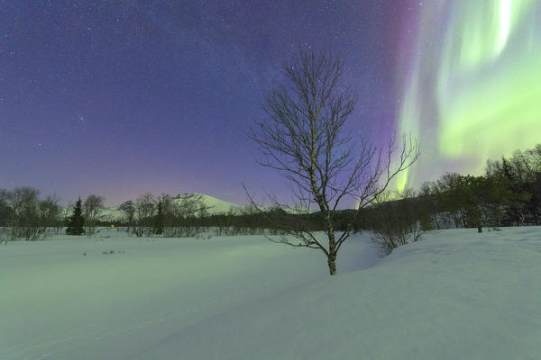 Northern Lights on frozen lake Skoddebergvatnet, Grovfjord, Troms county, Lofoten Islands, Norway