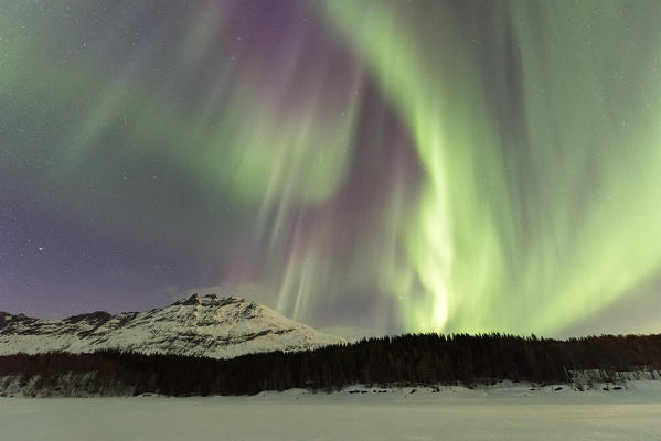 Northern Lights, Skoddebergvatnet, Grovfjord, Troms county, Lofoten Islands, Norway