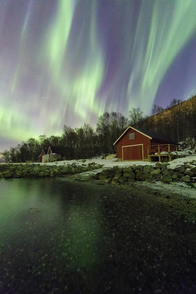 Northern Lights on typical Rorbu, Tovik, Skanland municipality, Troms county, Lofoten Islands, Norway