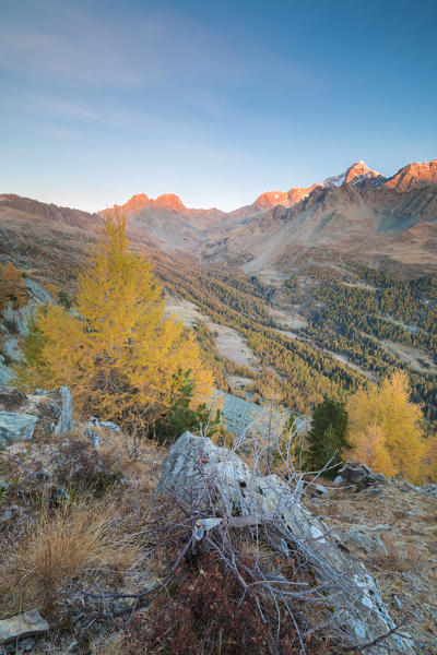 Monte Disgrazia Corni Bruciati and Valle Airale seen from Sasso Bianco in autumn, Valmalenco, Valtellina, Lombardy, Italy