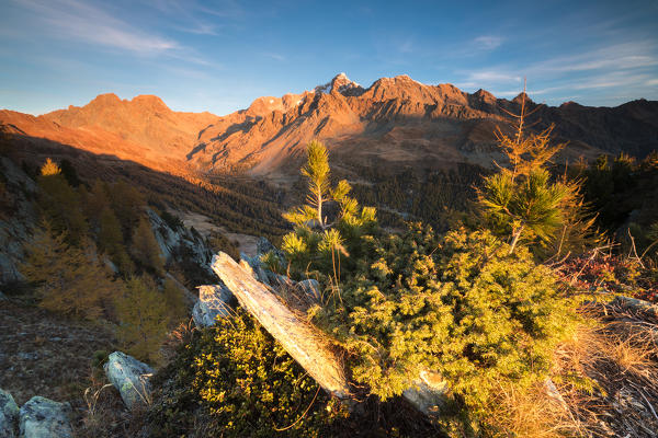 Monte Disgrazia Corni Bruciati and Valle Airale seen from Sasso Bianco in autumn, Valmalenco, Valtellina, Lombardy, Italy