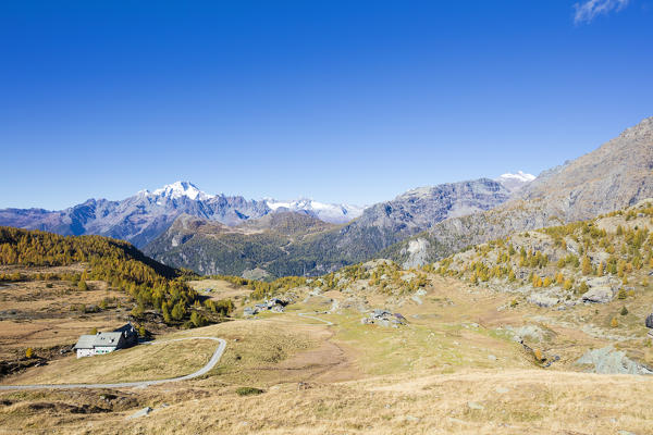 Alpe Campagneda during autumn with Monte Disgrazia in the background, Valmalenco, Valtellina, Sondrio province, Lombardy, Italy