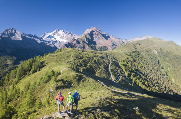 Panoramic of hikers at Scermendone Alp and Monte Disgrazia, Sondrio province, Valtellina, Rhaetian Alps, Lombardy, Italy