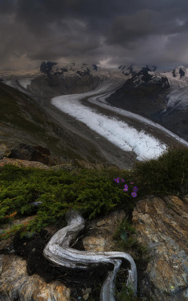 Monte Rosa glacier at dusk, Zermatt, canton of Valais, Switzerland