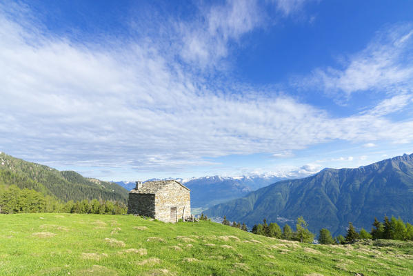 Stone hut in the green meadows during spring, Motta di Olano, Valgerola, Valtellina, Sondrio province, Lombardy, Italy