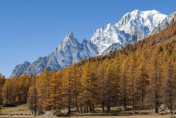 Autumn view on Mont Blanc, Val Ferret, Courmayeur, Aosta Valley, Italy