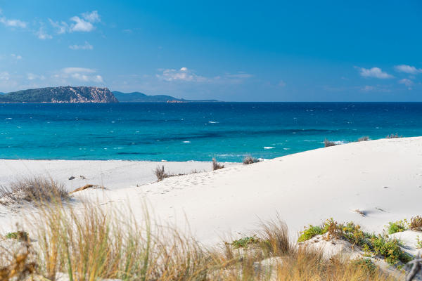 Rena Majori beach, Aglientu, Sassari province, Sardinia, Italy, Europe.