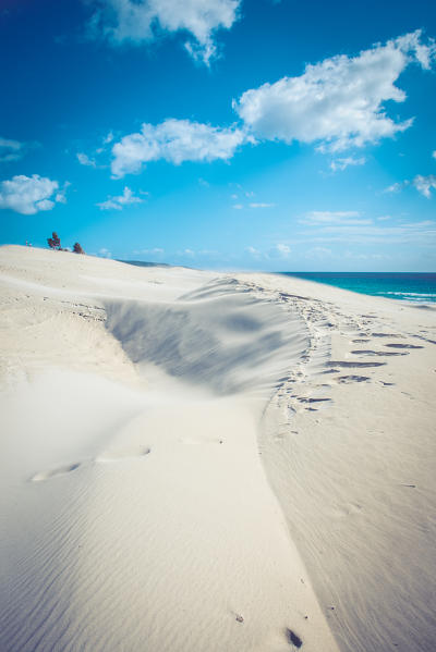 Sand dunes of Is Arenas Biancas, Teulada, Cagliari Province, Sardinia, Italy, Europe.