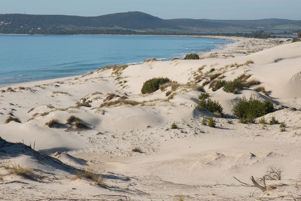 Sand dunes of Is Arenas Biancas, Teulada, Cagliari Province, Sardinia, Italy, Europe.