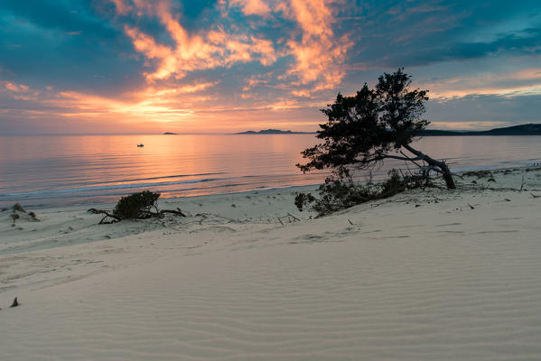 Sunset at the dunes of Is Arenas Biancas, Teulada, Cagliari Province, Sardinia, Italy, Europe.