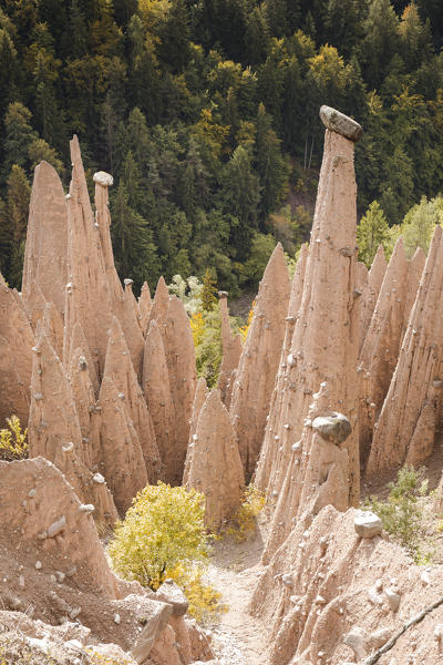 The famous Earth Pyramids of Ritten (Renon), a natural monument, Bolzano province, South Tyrol, Trentino Alto Adige, Italy