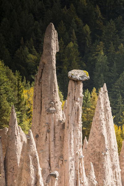 The famous Earth Pyramids of Ritten (Renon), a natural monument, Bolzano province, South Tyrol, Trentino Alto Adige, Italy