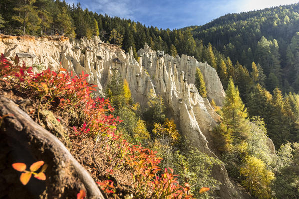The famous Earth Pyramids of Percha (Renon), a natural monument, Bolzano province, South Tyrol, Trentino Alto Adige, Italy