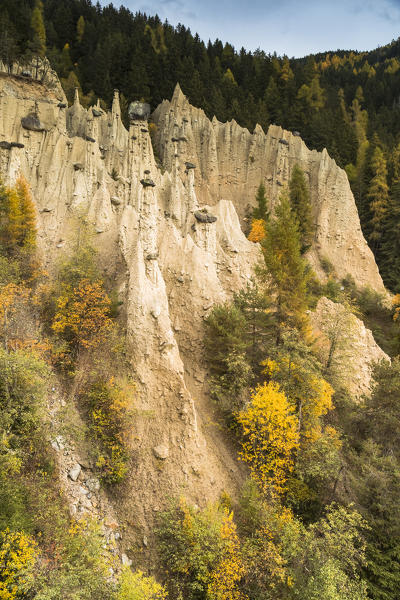 The famous Earth Pyramids of Percha (Renon), a natural monument, Bolzano province, South Tyrol, Trentino Alto Adige, Italy