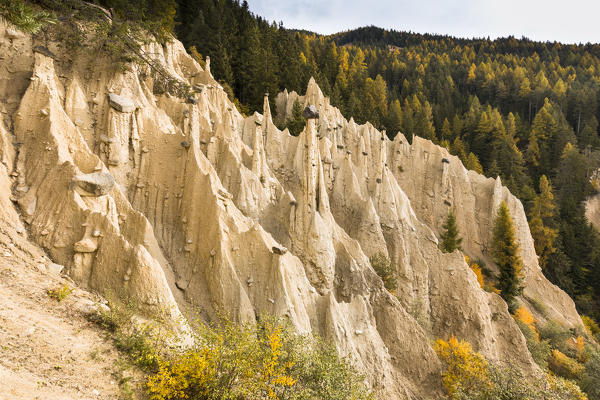 The famous Earth Pyramids of Percha (Renon), a natural monument, Bolzano province, South Tyrol, Trentino Alto Adige, Italy