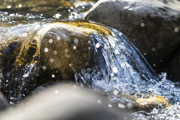 a detail of the fresh water of the creek, bolzano province, south tyrol, trentino alto adige, italy