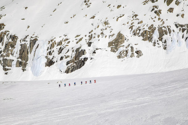 A group of ski tourers roped together on the Argentiere Glacier at the beginning of Haute Route Chamonix Zermatt (Argentiere, Chamonix-Mont-Blanc, Haute-Savoie, France, Europe)