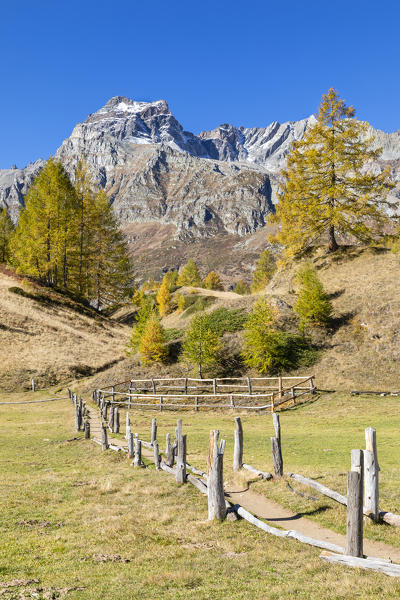 The Cervandone Peak from Alp Crampilo in autumn season, Alpe Veglia and Alpe Devero Natural Park (Alpe Devero, Baceno, Antigorio Valley, Verbano Cusio Ossola province, Piedmont, Italy, Europe)